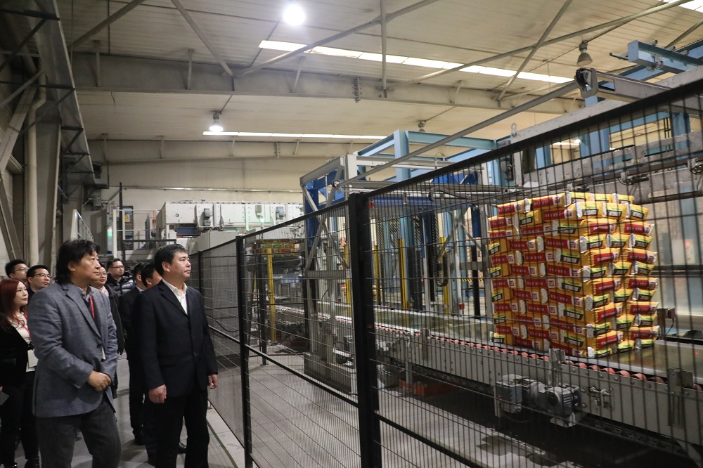 美巢集團股份公司 風能發(fā)電領域的綠色先鋒